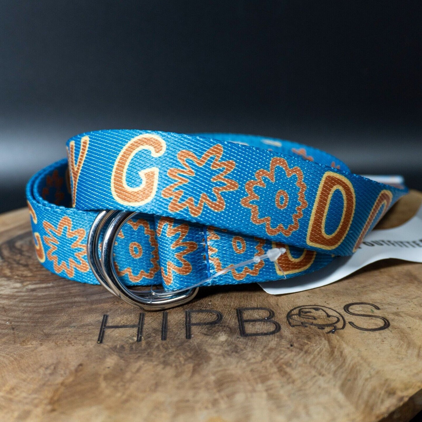 Urban Outfitters UO Fabric Good Day Webbing Belt Blue Size One Size