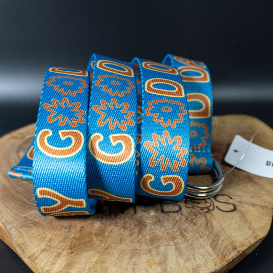 Urban Outfitters UO Fabric Good Day Webbing Belt Blue Size One Size